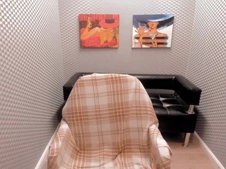 lica-swarovski