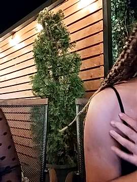AnasstasiaBrown