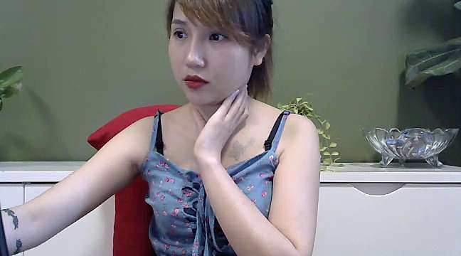 Jin_cat