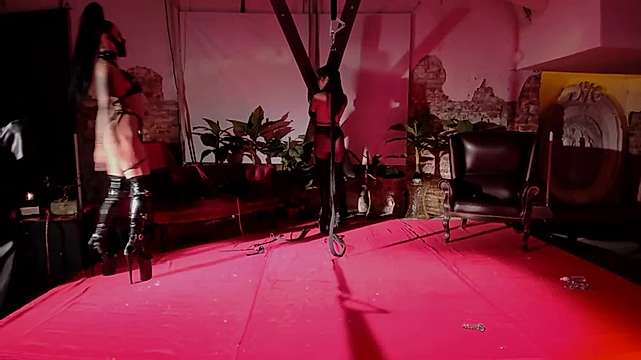 TRIXEL_Show