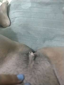 gatanegra1