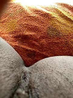 sikha_sharma07