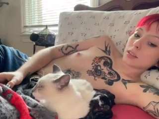 misskittyscratchesback