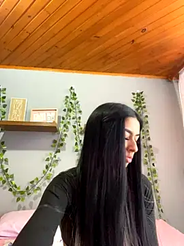 salome_ml