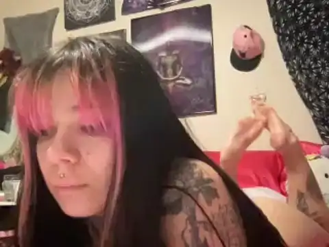 playb0ykitten