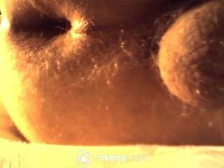 need2seedxxx
