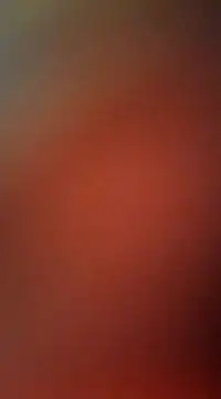 BF_WITH_GF