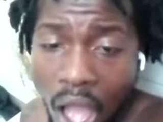 BlackDingo23