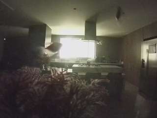 voyeurcam casa salsa fishtank
