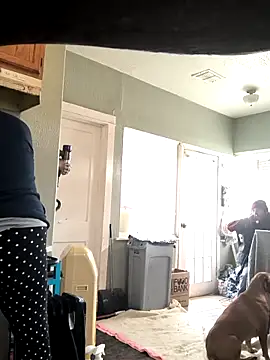TexaSMESS_37