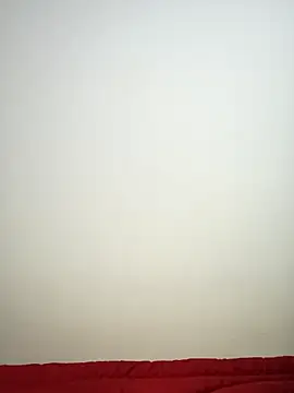 bitchibb56