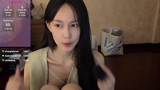 DD-5200