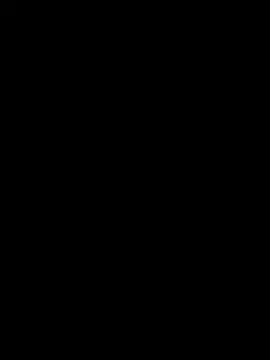 zipriangel
